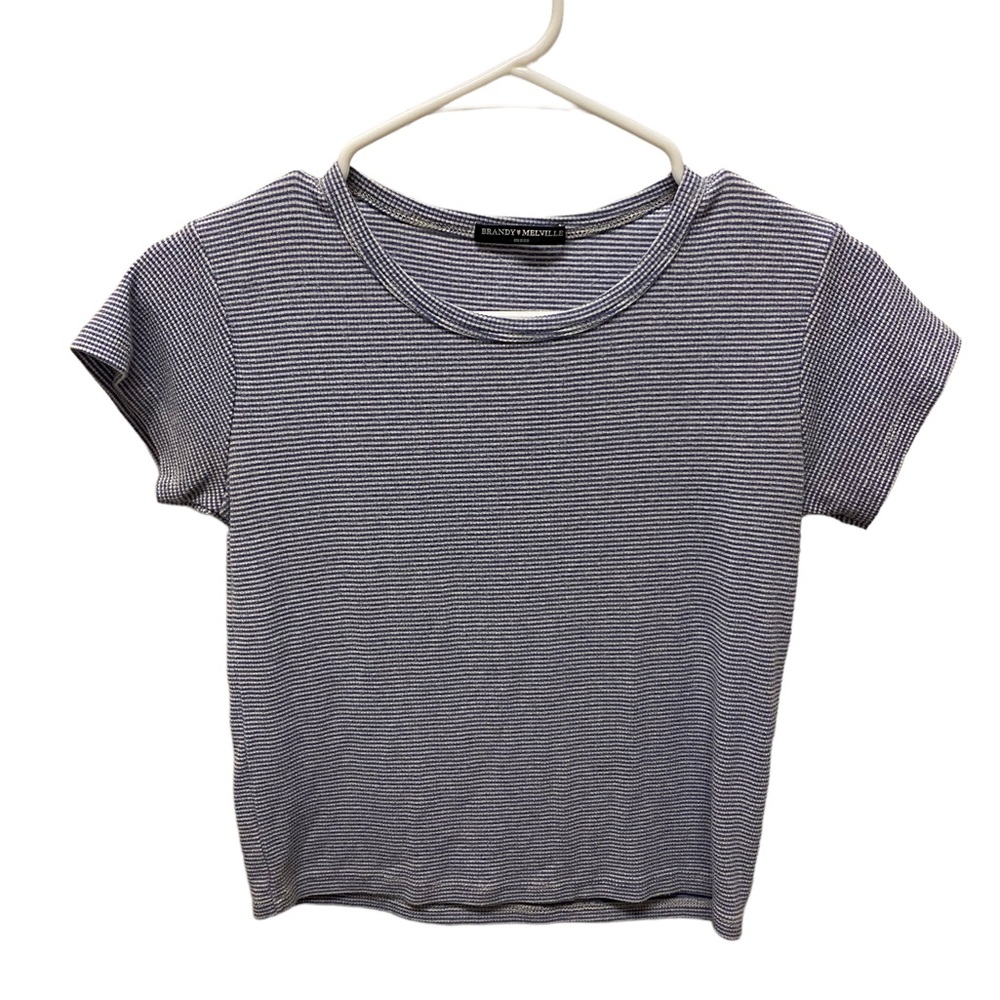 Brandy Melville Striped Blue and White Cropped T
